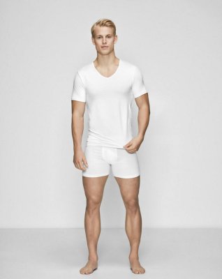 Undertrøje, t-shirt v-hals | økologisk bomuld | hvid -JBS of Denmark Men
