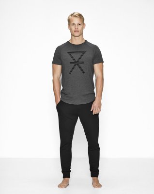 T-shirt med tryk | bambus | grå -JBS of Denmark Men