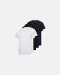 T-shirt 5-pak | 100% bomuld | Multifarvet - Claudio
