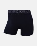 Trunks 'basic' 5-pak | Bomuld | Multifarvet -CR7