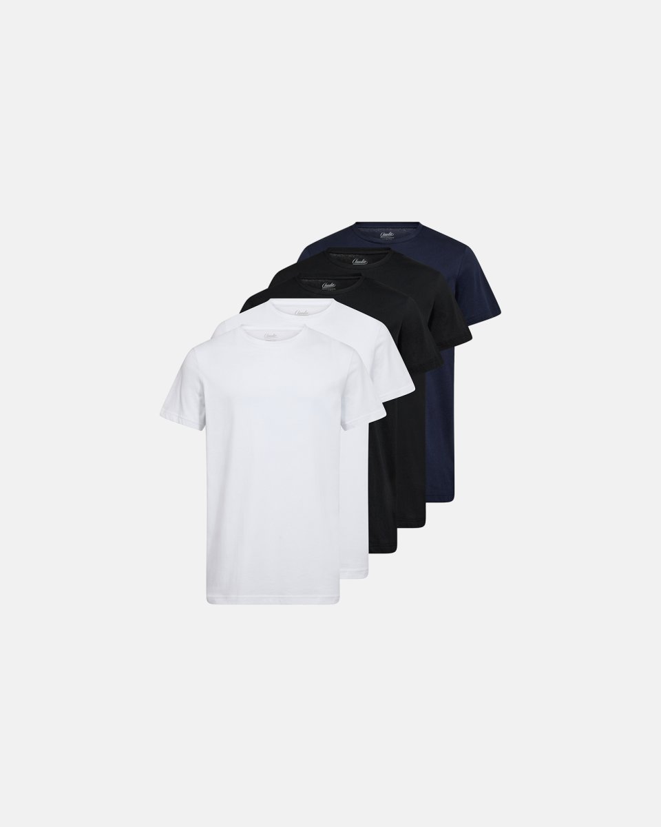 Claudio T-shirt 5-pak | 100% bomuld | Multifarvet - S