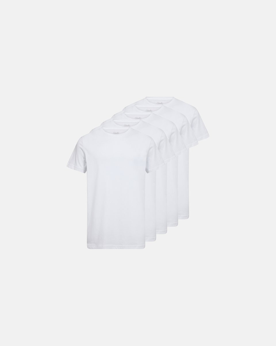 Claudio T-shirt 5-pak | 100% bomuld | Hvid - S
