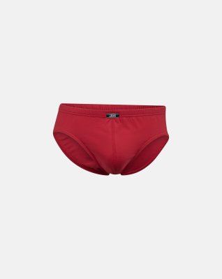 Briefs "mini slip" 5-pak, 100% økologisk bomuld, Multifarvet