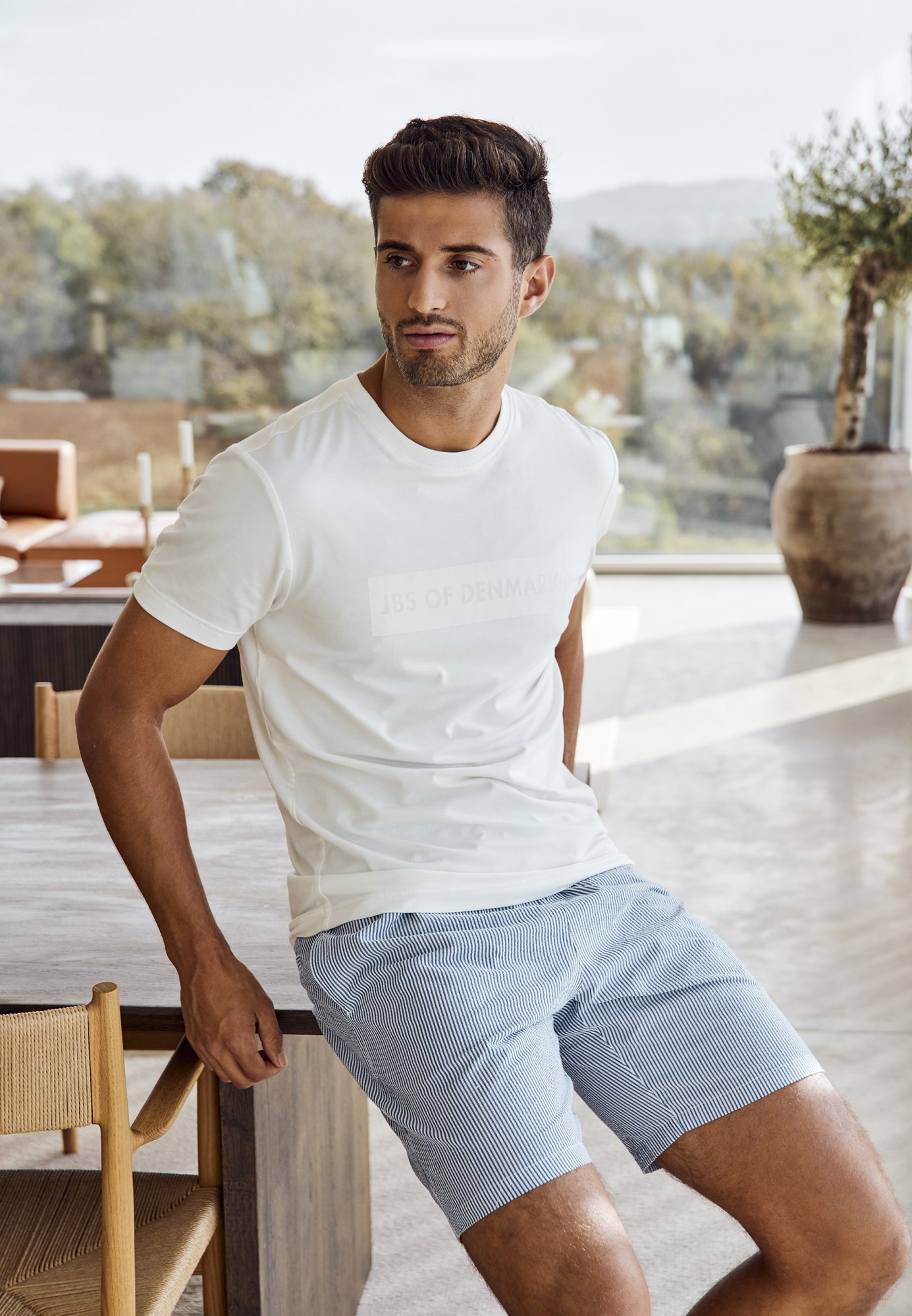 Pyjamasshorts "Seersucker" | Økologisk bomuld | multifarvet -JBS of Denmark Men Pyjamasshorts "Seersucker" | Økologisk bomuld | multifarvet -JBS of Denmark Men