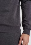 Sweatshirt | Recycled polyester | Grå melange -Claudio