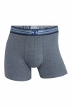 Trunks "basic" 7-pak, Bomuld, Multifarvet