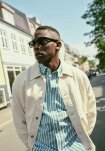 Skjorte 'davis' | 100% Bomuld | Grøn m. striber -Resteröds